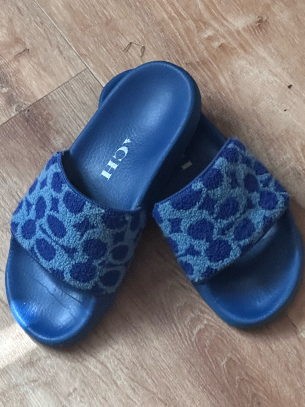 Coach Ladies Blue Slide w Terry